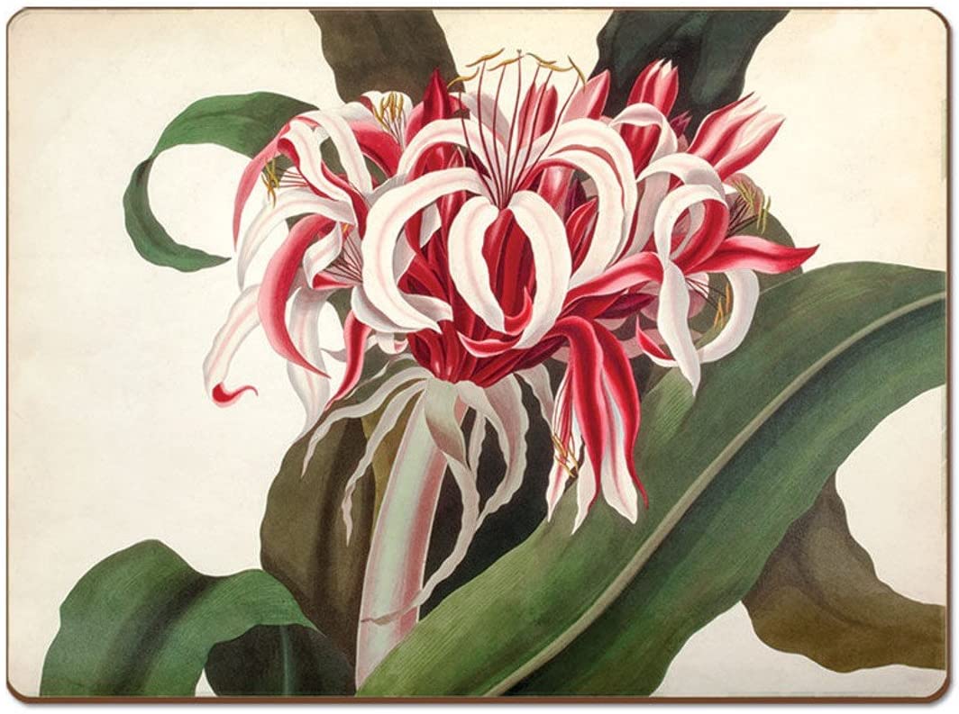! 4-pc Corkback Hardboard Floral Placemats Crinum Augustum ! 4-pc Corkback Hardboard Floral Placemats Crinum Augustum